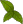 Peppermint